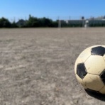 野球の記録で話したい