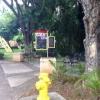 ダウンタウンおさんぽで見つけた気になるお店いろいろ