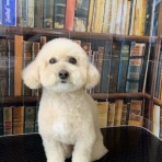 ズーズーカンパニー スタッフブログ