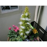 �ز��ľ���ǯ��ǯ�ϤαĶ����Τ�����٤β���