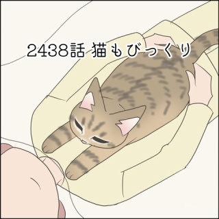 あんこと麦と