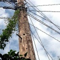 電柱好きの、電柱好きによる、電柱好きの為の自己満足ブログ。