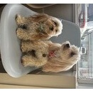 今年もやってきました！