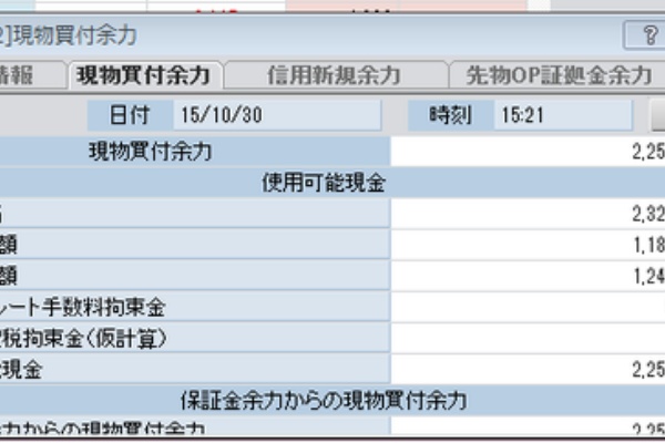 ブッシーの株生活 15年10月