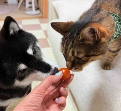     新・食いしん坊コンビ、誕生しました！