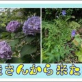 生徒さんから来た写真