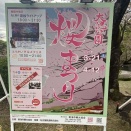 大池公園　桜まつり