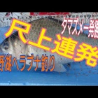 ͼޥȯǼܾϢȯ٤β
