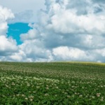 【悲報】北海道とかいうド田舎のメリットwwwwwwwwwwwwwwwwwwwww