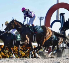 【みやこステークス＋アルゼンチン共和国杯2025予想】