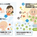 三石巌12（免疫機能）