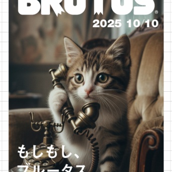 電話しまくる猫。