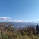 251028火曜日　QR収穫、一人でKS6.7ふじ上枝葉摘み、Tはなかの真紅、青林など収穫、KA静岡旅行