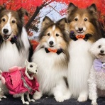 メロディ＆ミニーの写真館