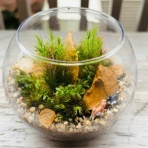 猫とふたり暮らし～evaとaiaiの日常～