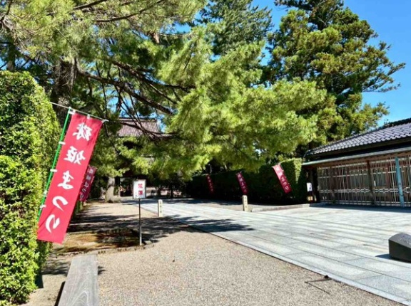 珠姫さまの遺徳を偲ぶ恒例行事！『天徳院』で『珠姫まつり』開催。8月9日。