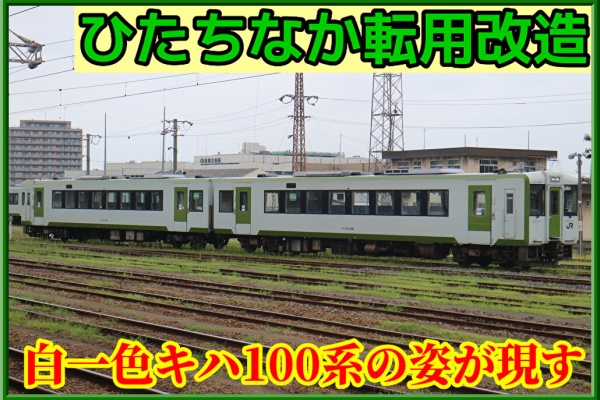 湘南色の部屋（Shonan-color train） - 2024年08月