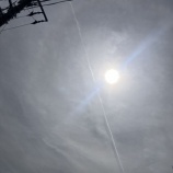 『8日目　2025年3月12日（水）曇りのち晴れ』の画像