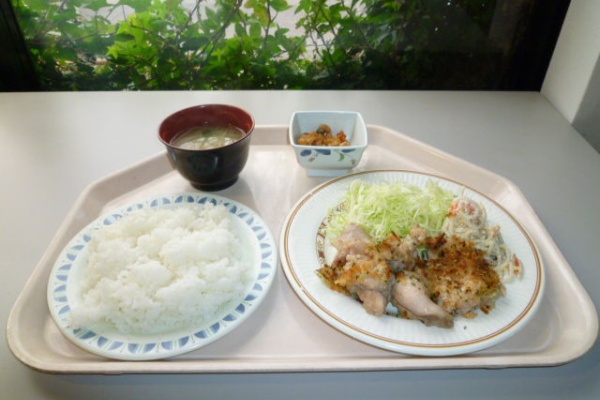 神奈川工科大学食べ物ｂｌｏｇ 神奈川工科大学