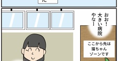 飼い犬ティアラが病気になった話④手術の日