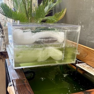 Beach Field　いいかげん日記帳Ⅲ