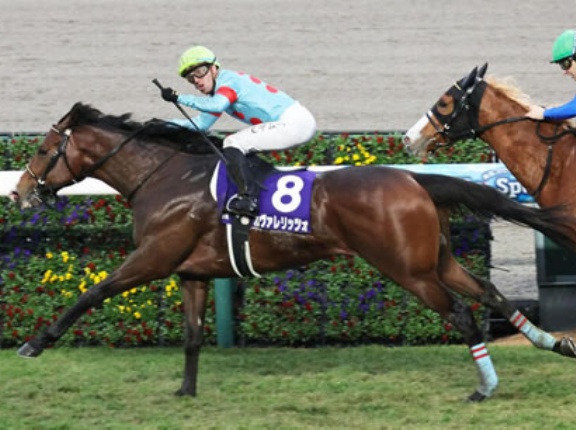 カヴァレリッツォ史上５組目のJRA・GI父系４代制覇達成