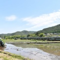 5月16日撮影　383系「しなの8号」と・・