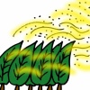 【悲報】花粉ヤバい 	