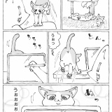 うちの犬のルカ。【５７】