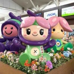 小笠原父島　オガツアーのブログ３