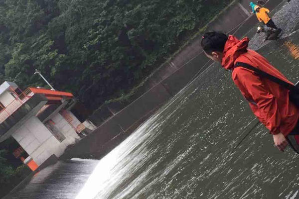 ドルフィンブログ