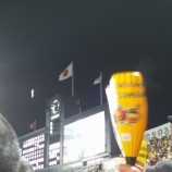 『2013年甲子園開幕戦~阪神vs.巨人』の画像