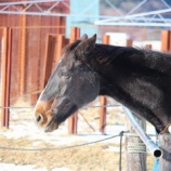 『暴風』の画像