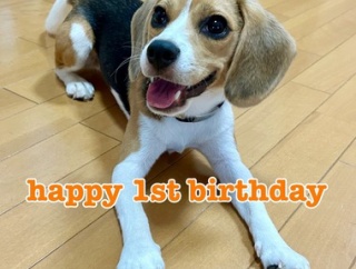祝　がおたケイナ1歳