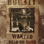 ぬかキャン：Fallout 76 サバイバルガイド