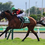 クロミちゃんの競馬日記