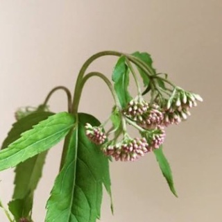 筋トレ予備校まとめ