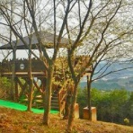 00shizuoka静岡観光おでかけガイド