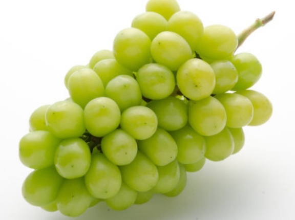 【悲報】長野・須坂市のふるさと納税の返礼品「シャインマスカット」、5年間産地偽装されていた事が判明