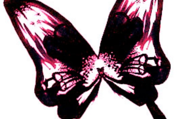 はねうさものおもいにふける イラスト