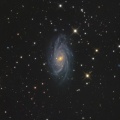 きりん座　NGC2336