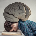 コンディショニングトレーナー小林さくらのブログ〜エッセンシャルトーク〜