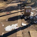 『戸田市後谷公園内にゴミが氾濫していました。』の画像