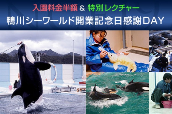 特別レクチャーあり 鴨川シーワールド開業記念日 感謝day 16年10月1 2日 サメ シャチ好き集まれ情報局