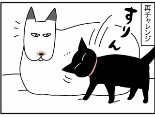 猫の名はポル⑳