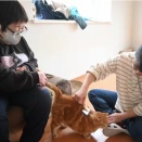 ペット飼育崩壊を防ぐ、高齢飼育者支援サポート。