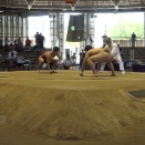 入門にあたって