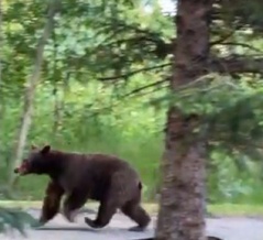 こんな所には住みたくない