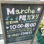 高知のんのんお散歩
