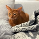 フワフワの上にいなかった、ひめちゃん